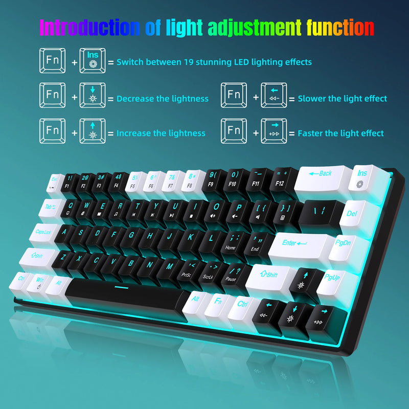 Mechanical Keyboard (68 Keys)