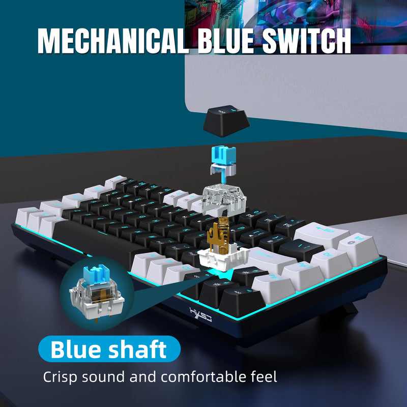 Mechanical Keyboard (68 Keys)