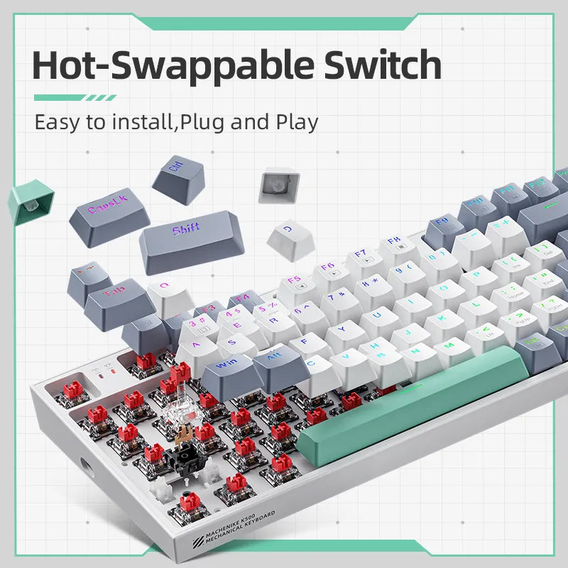 Mechanical Keyboard (Hot Swappable)