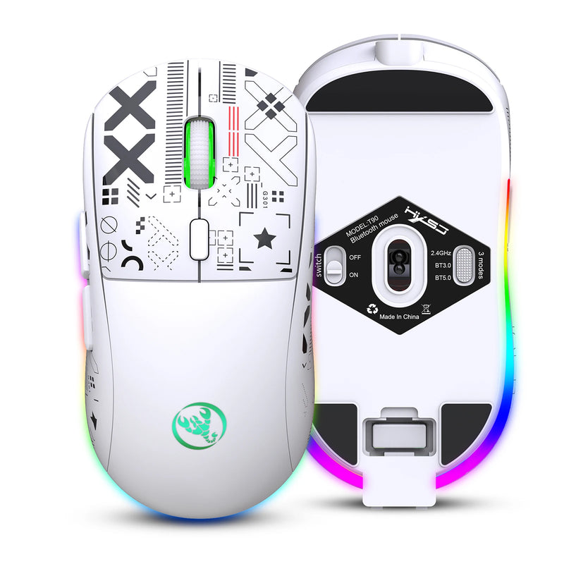 Wireless Gaming Mouse (RGB)