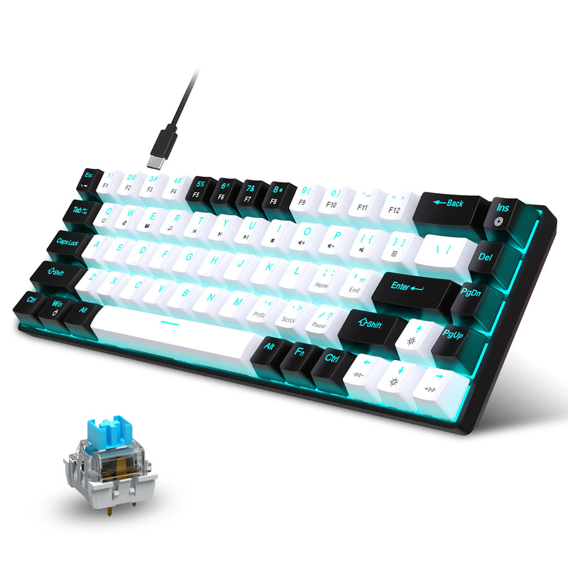 Mechanical Keyboard (68 Keys)