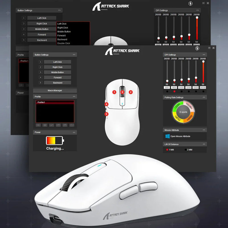 Wireless Gaming Mouse (Lightweight)